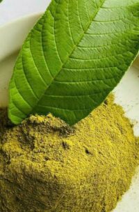 Guava Leaves TBC