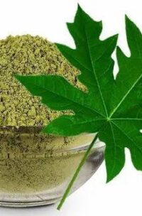Papaya Leaves Powder