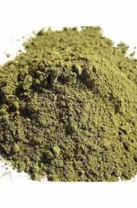 Indian Nettle TBC